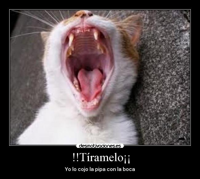 !!Tíramelo¡¡ -