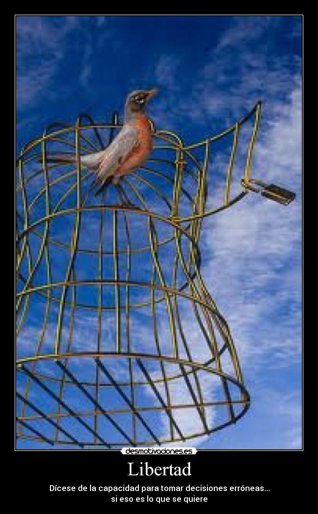 Libertad - Dícese de la capacidad para tomar decisiones erróneas...
si eso es lo que se quiere