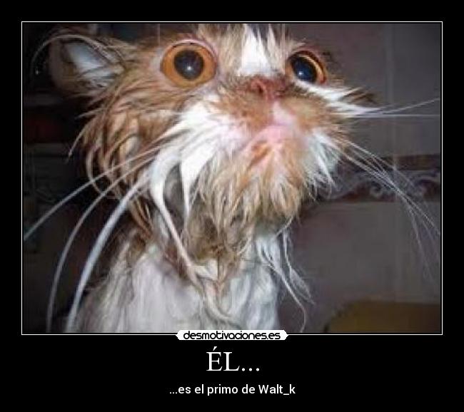 ÉL... - ...es el primo de Walt_k