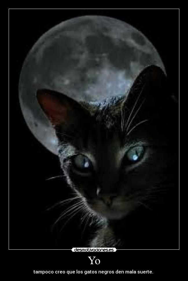 Yo - tampoco creo que los gatos negros den mala suerte. 