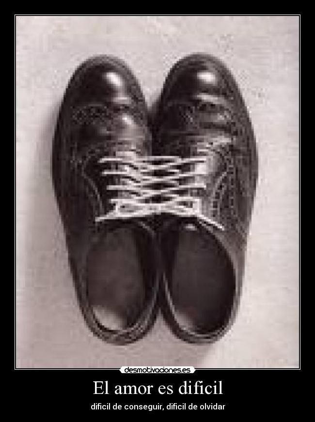 carteles amor wwwdesmotivacioneses desmotivaciones