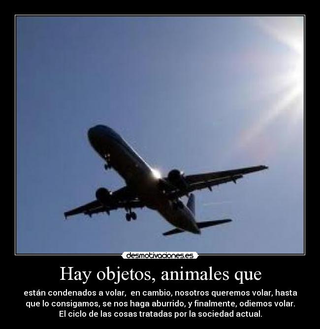 Hay objetos, animales que - están condenados a volar, en cambio, nosotros queremos volar, hasta
que lo consigamos, se nos haga aburrido, y finalmente, odiemos volar.
El ciclo de las cosas tratadas por la sociedad actual.