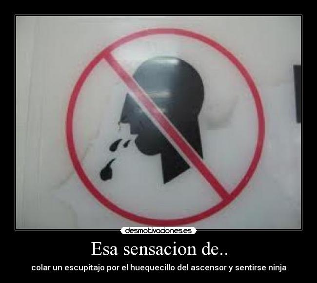 Esa sensacion de.. - colar un escupitajo por el huequecillo del ascensor y sentirse ninja