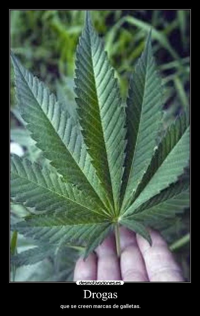 Drogas -