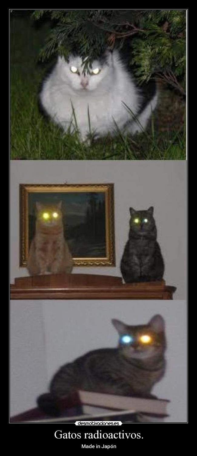 Gatos radioactivos. - 