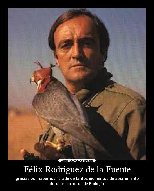 Félix Rodríguez de la Fuente - gracias por habernos librado de tantos momentos de aburrimiento
durante las horas de Biología.