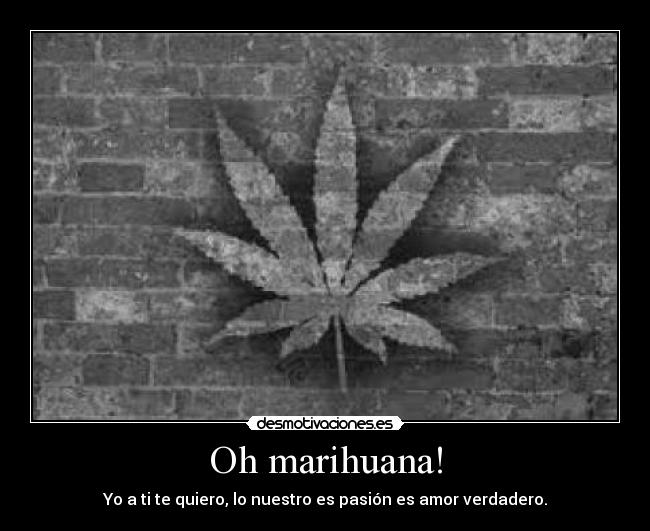 Oh marihuana! - 