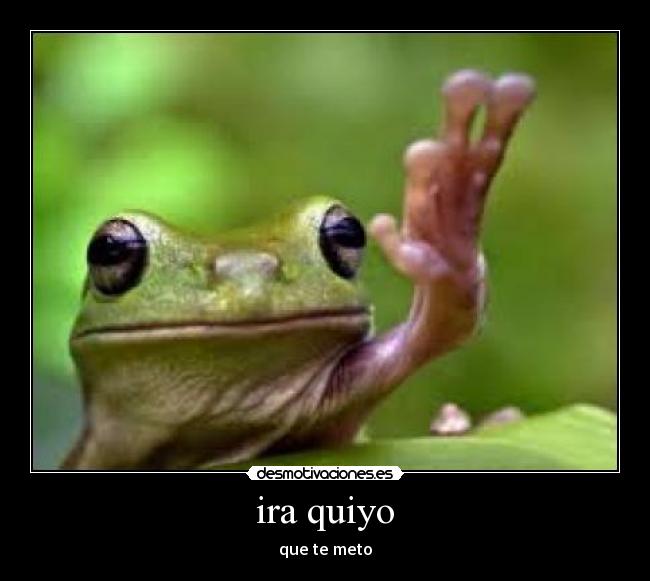 ira quiyo - que te meto