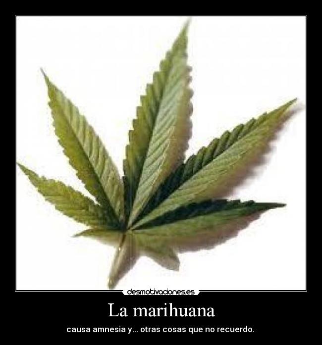 La marihuana - 