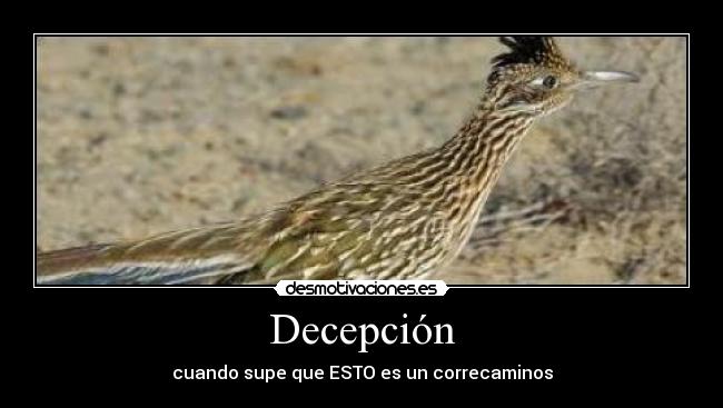 Decepción -