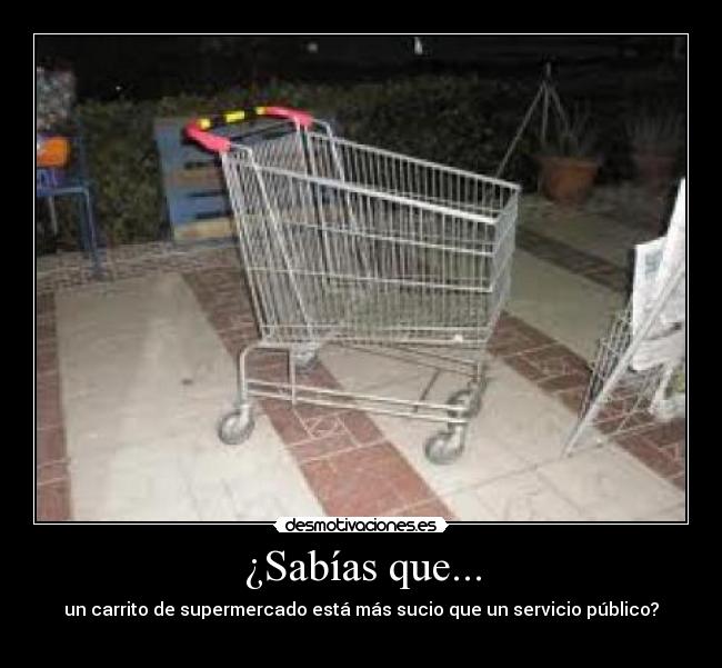 ¿Sabías que... - un carrito de supermercado está más sucio que un servicio público?