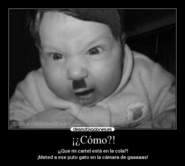 ¡¿Cómo?! - ¡¿Que mi cartel está en la cola?!
¡Meted a ese puto gato en la cámara de gaaaaas!