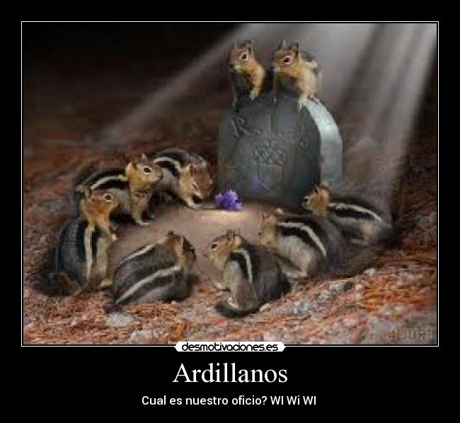 Ardillanos -