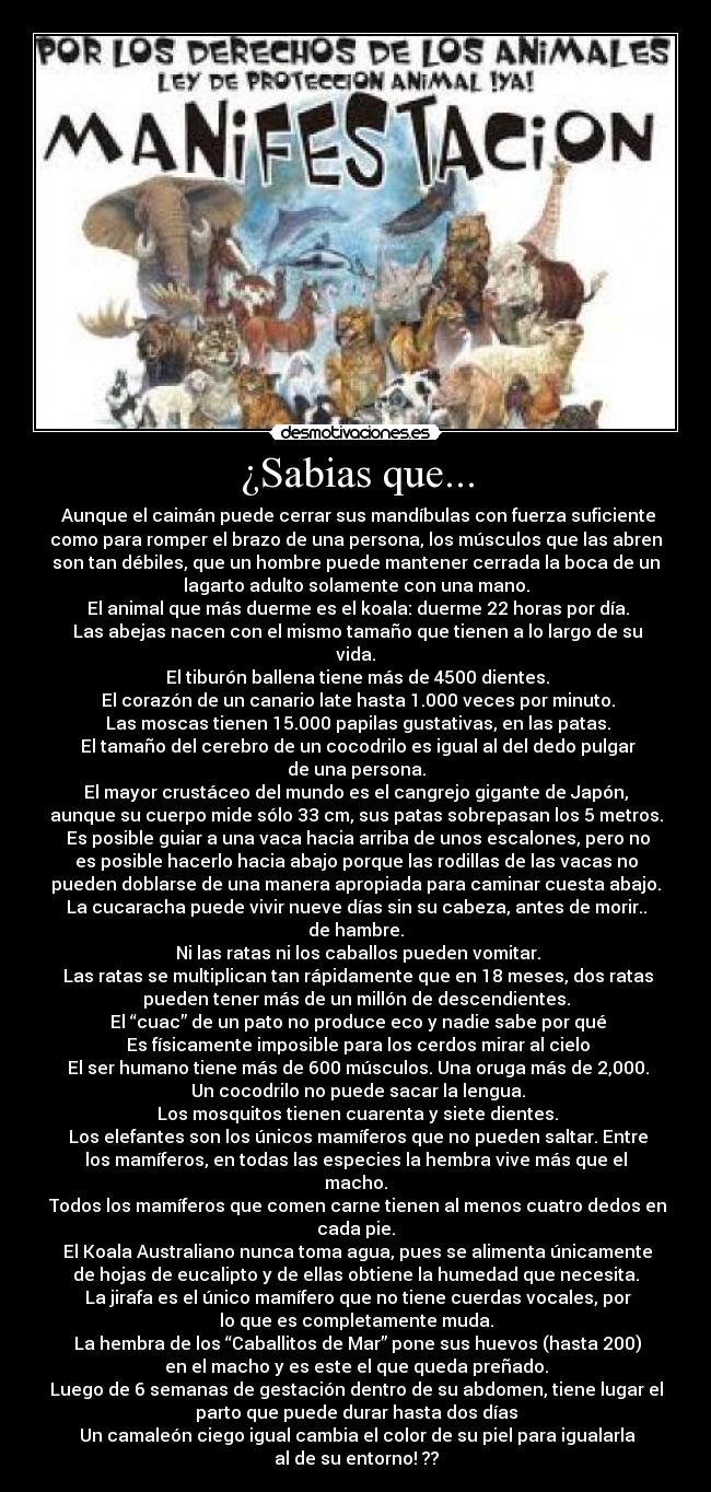 ¿Sabias que... -