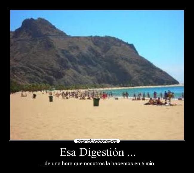 Esa Digestión ... -