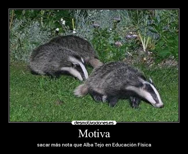 Motiva - sacar más nota que Alba Tejo en Educación Física