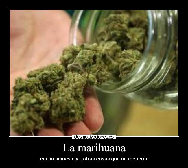 La marihuana - causa amnesia y... otras cosas que no recuerdo