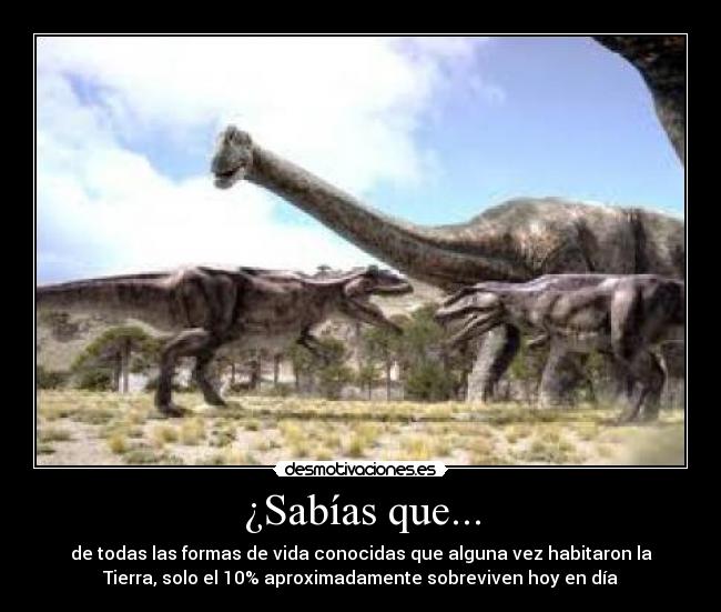 ¿Sabías que... - de todas las formas de vida conocidas que alguna vez habitaron la
Tierra, solo el 10% aproximadamente sobreviven hoy en día