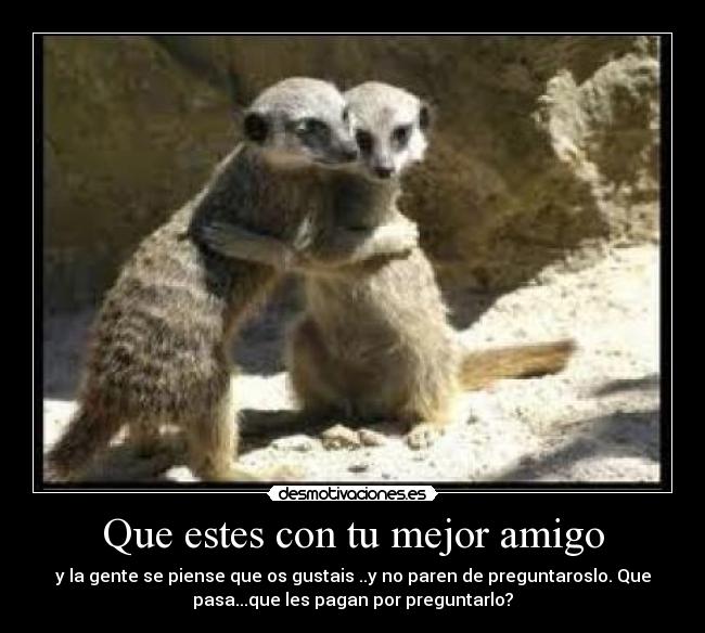 carteles que estess con mejor amigo desmotivaciones