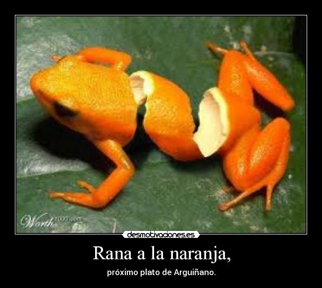 Rana a la naranja, - próximo plato de Arguiñano.