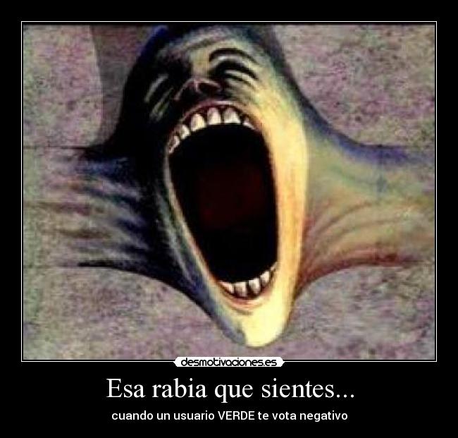 Esa rabia que sientes... - cuando un usuario VERDE te vota negativo