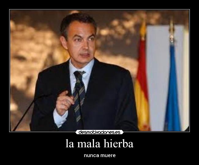 la mala hierba - nunca muere