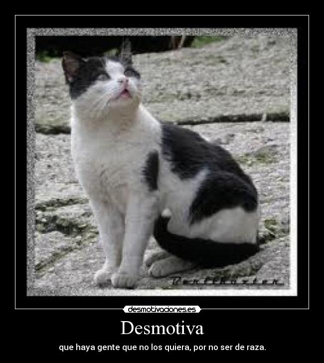 Desmotiva - 
