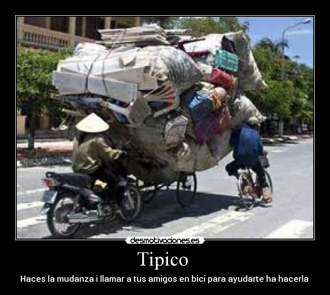 Tipico -