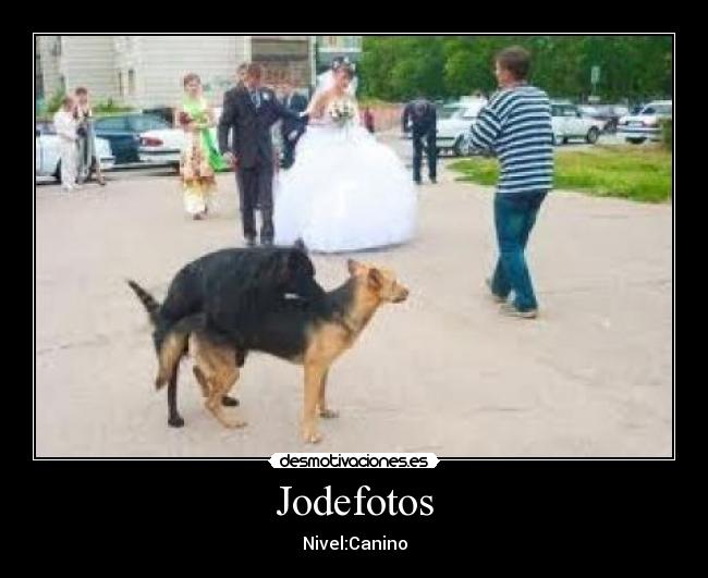 Jodefotos - 