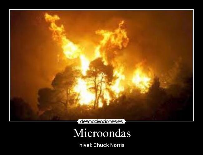 Microondas - nivel: Chuck Norris