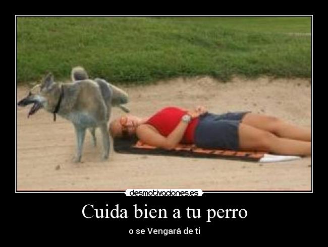 Cuida bien a tu perro - o se Vengará de ti