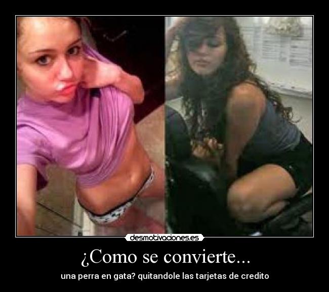 ¿Como se convierte... - una perra en gata? quitandole las tarjetas de credito