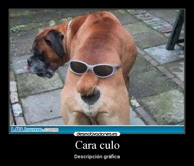 Cara culo -