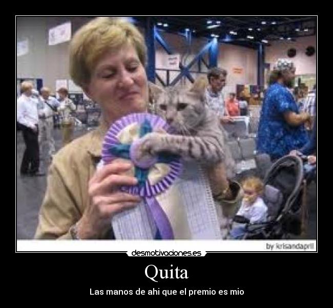 carteles quita desmotivaciones