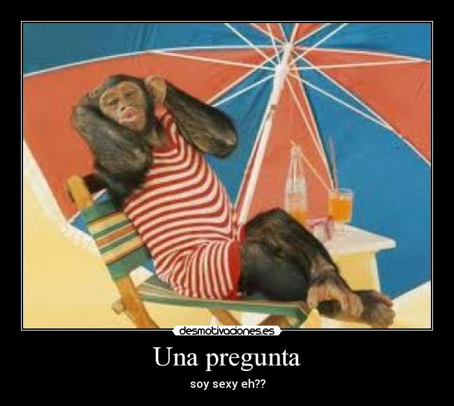 carteles  desmotivaciones