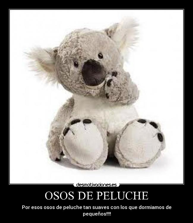 OSOS DE PELUCHE - 
