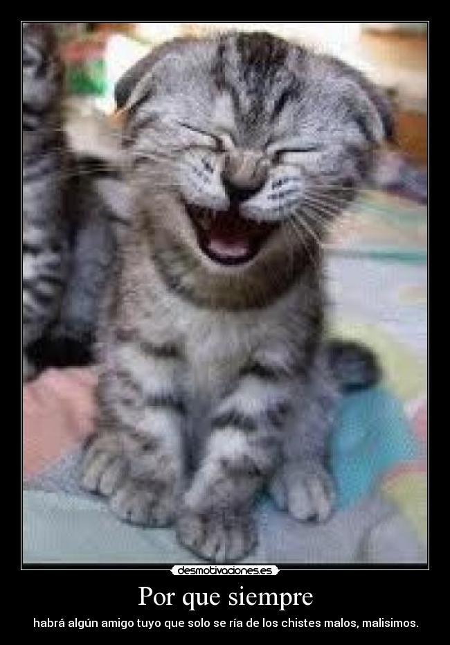 Por que siempre -