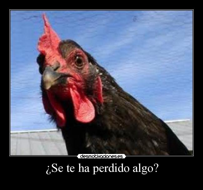 carteles risaa gallina desmotivaciones