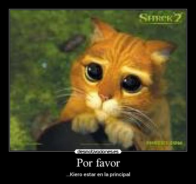 Por favor -