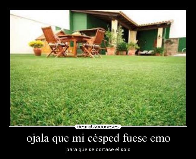 ojala que mi césped fuese emo -