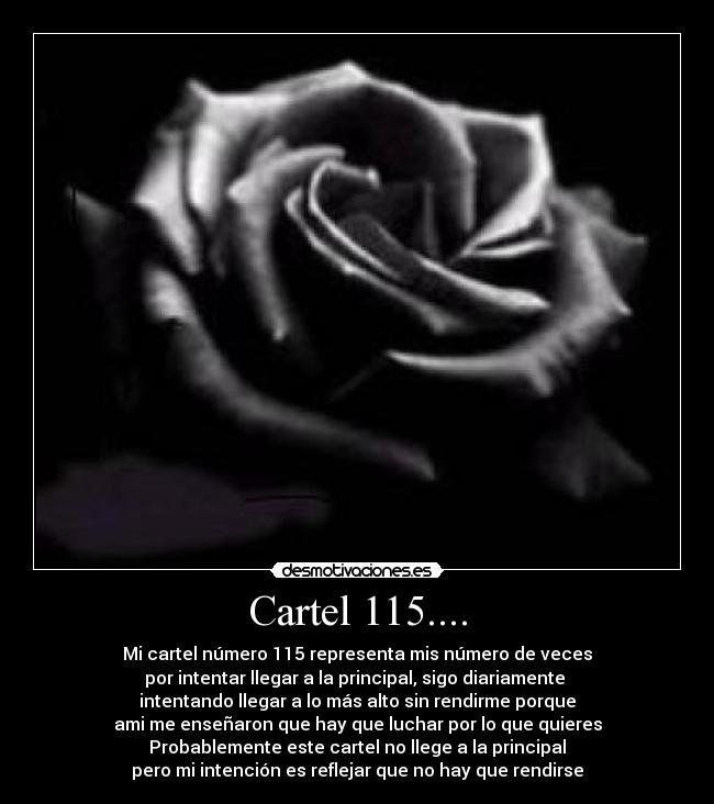 Cartel 115.... - 