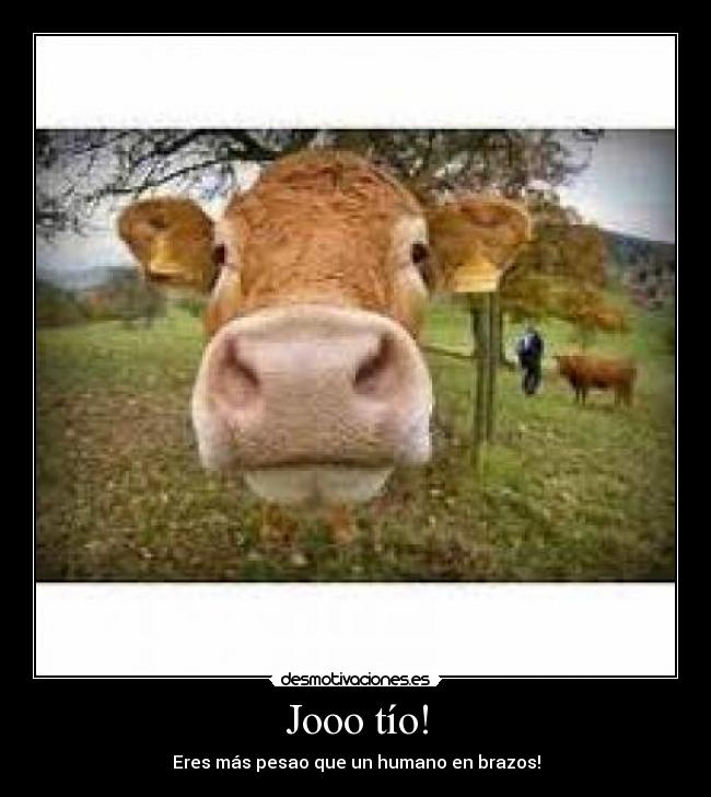 Jooo tío! -