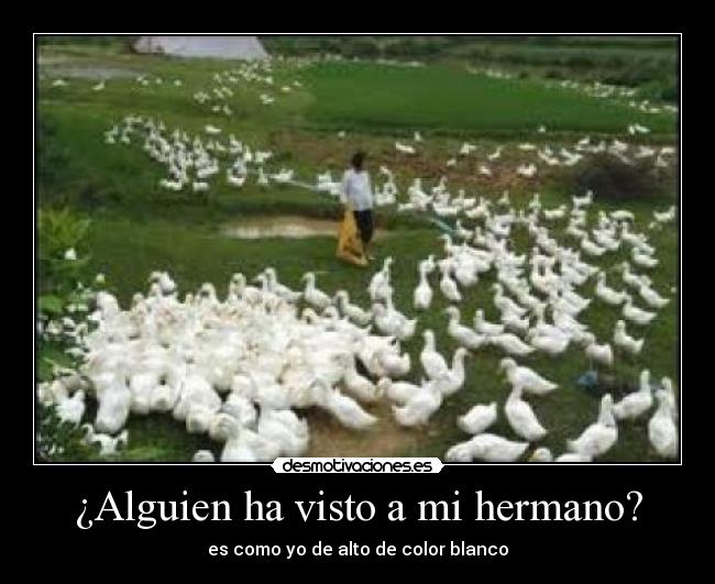 carteles garridodesmotivante deivod samu_samu chema gea snake producciones serfot mevoiacagaryvuelvo desmotivaciones