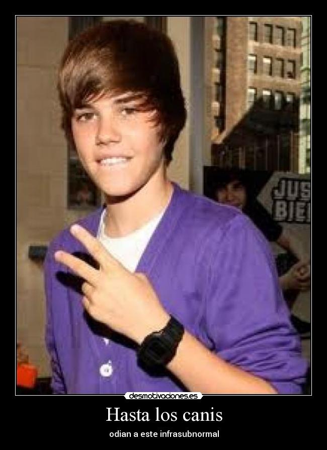Hasta los canis - 