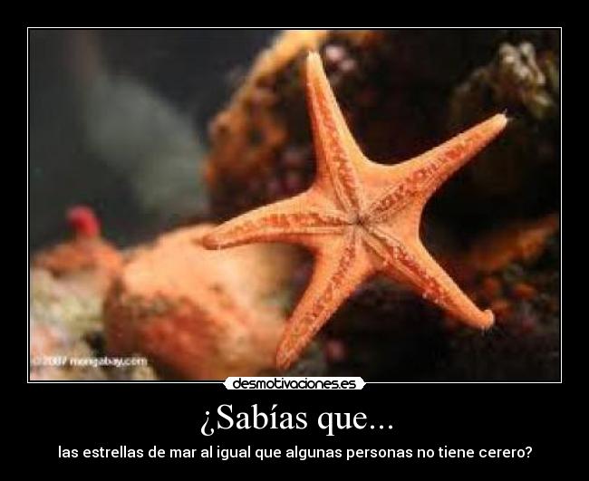 carteles desmotivaciones