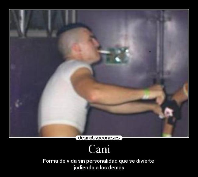 Cani -