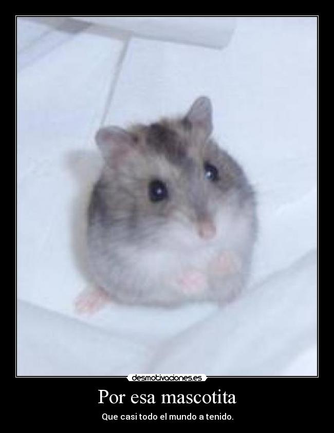 Por esa mascotita - 