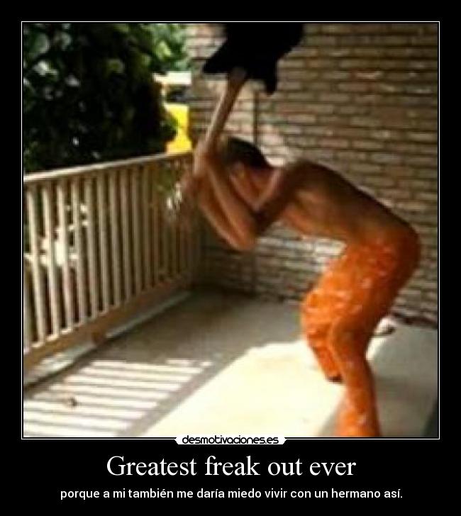 Greatest freak out ever - 