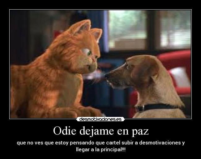 Odie dejame en paz - que no ves que estoy pensando que cartel subir a desmotivaciones y
llegar a la principal!!!