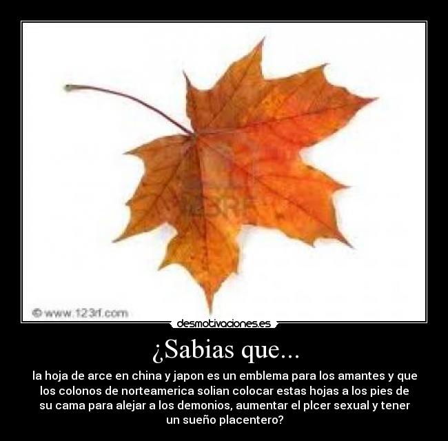 ¿Sabias que... - 